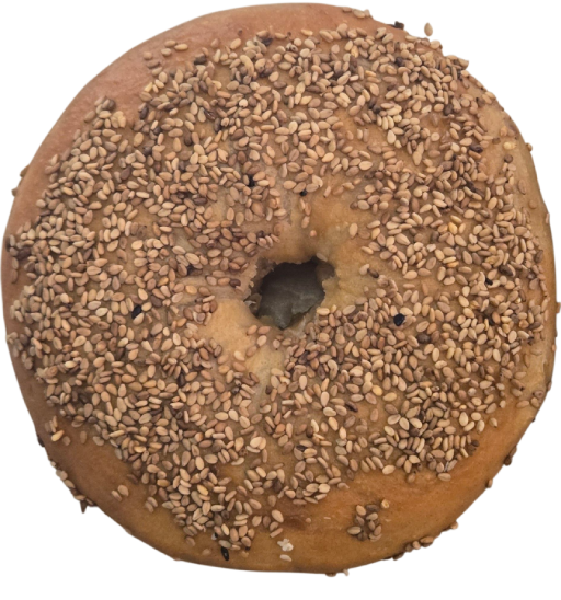 Sesame Bagel